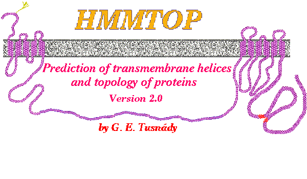 HMMTOP: Prediction of transmembrane helices and topology of proteins